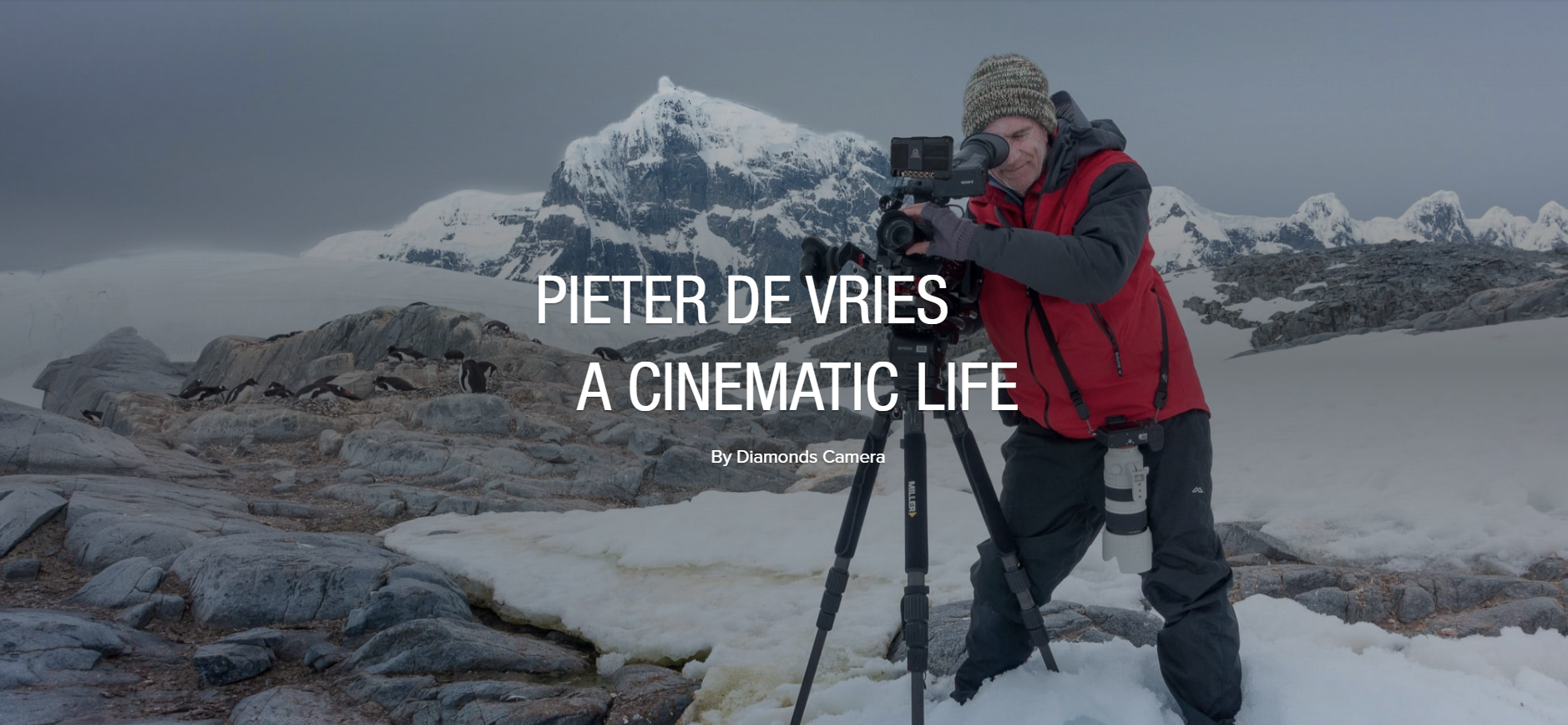Introducing: Pieter De Vries - A Cinematic Life